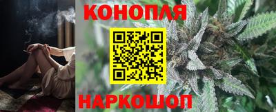 индика Гагарин