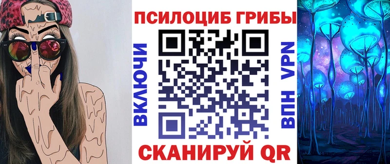 Псилоцибиновые грибы Psilocybe  Вязники 