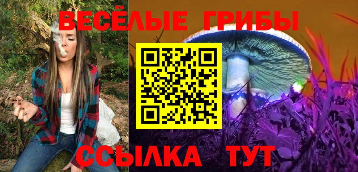 Псилоцибиновые грибы GOLDEN TEACHER  Вход с VPN  Галлюциногенные грибы ЛСД  Вязники 